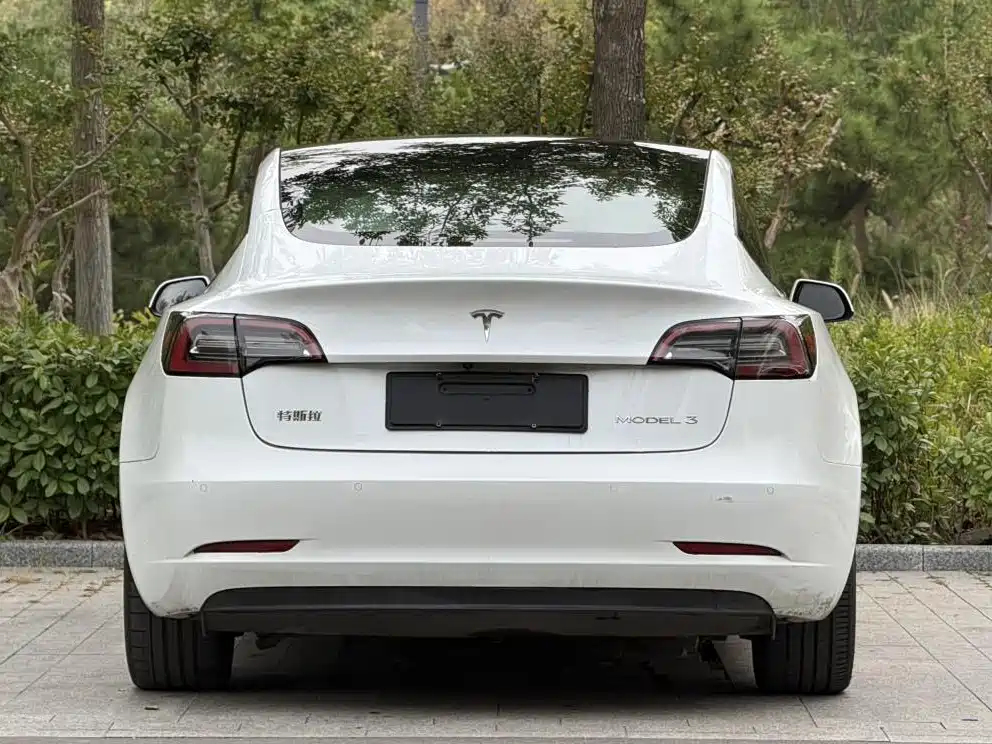 Tesla Model 3 — миниатюра 8