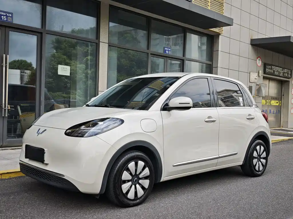 Wuling Bingo