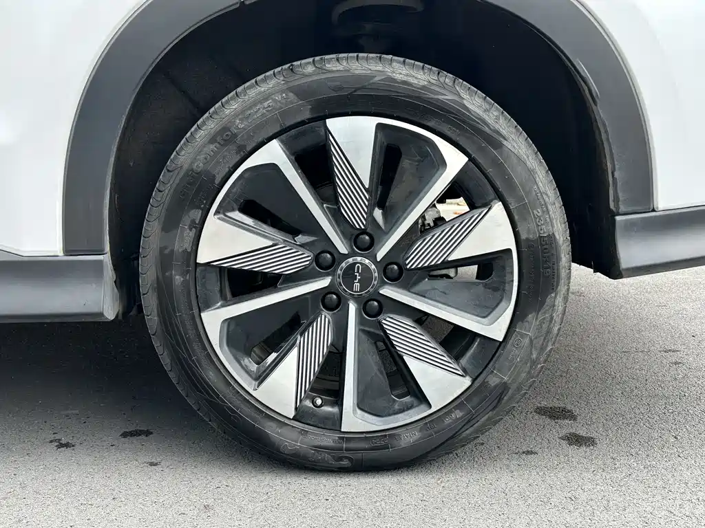 BYD SONGJIANG NEW ENERGY