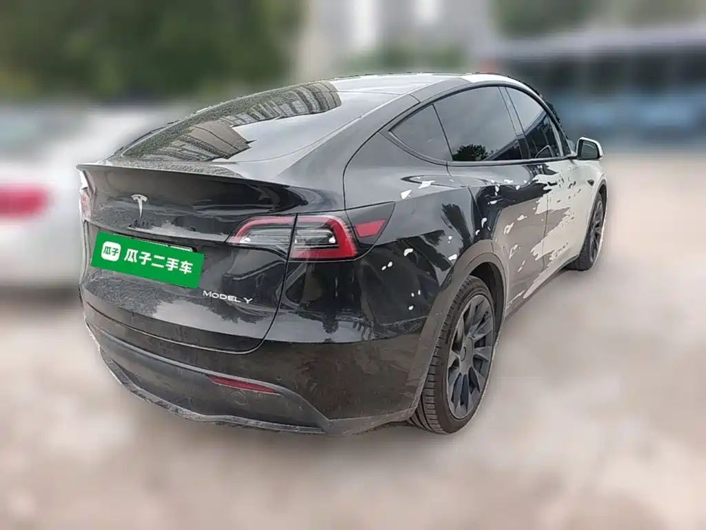Tesla Model Y — миниатюра 10