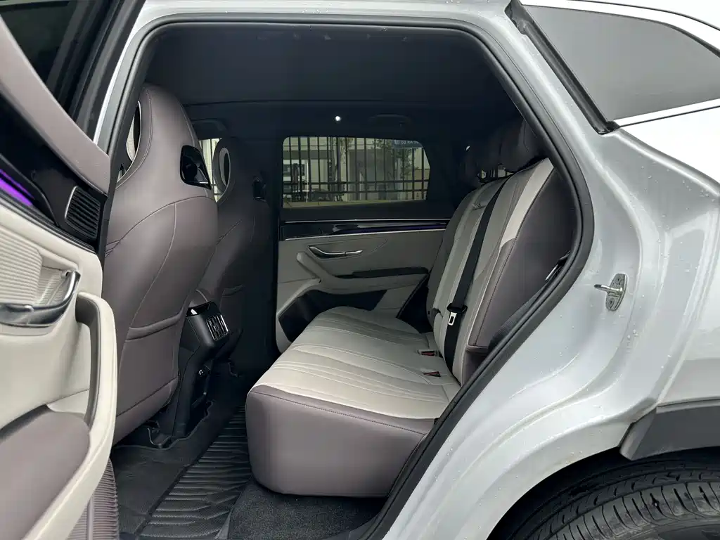 BYD SONGJIANG NEW ENERGY