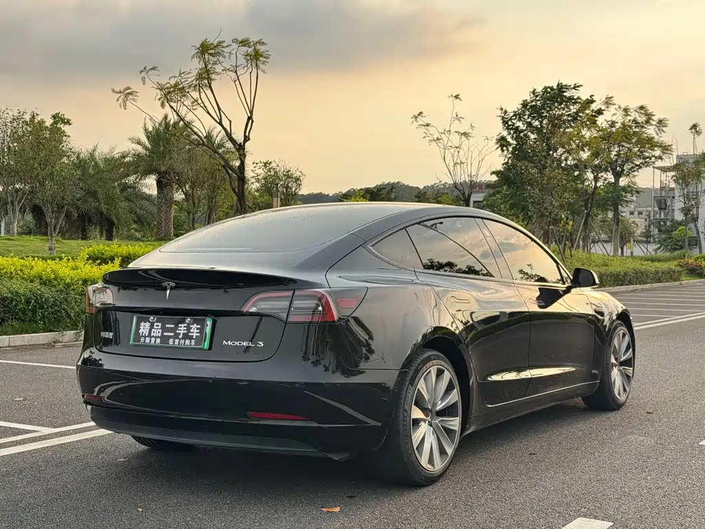 Tesla Model 3 — миниатюра 5