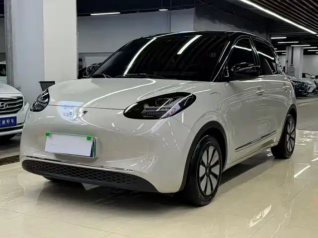 2024 Wuling Motors Binguo