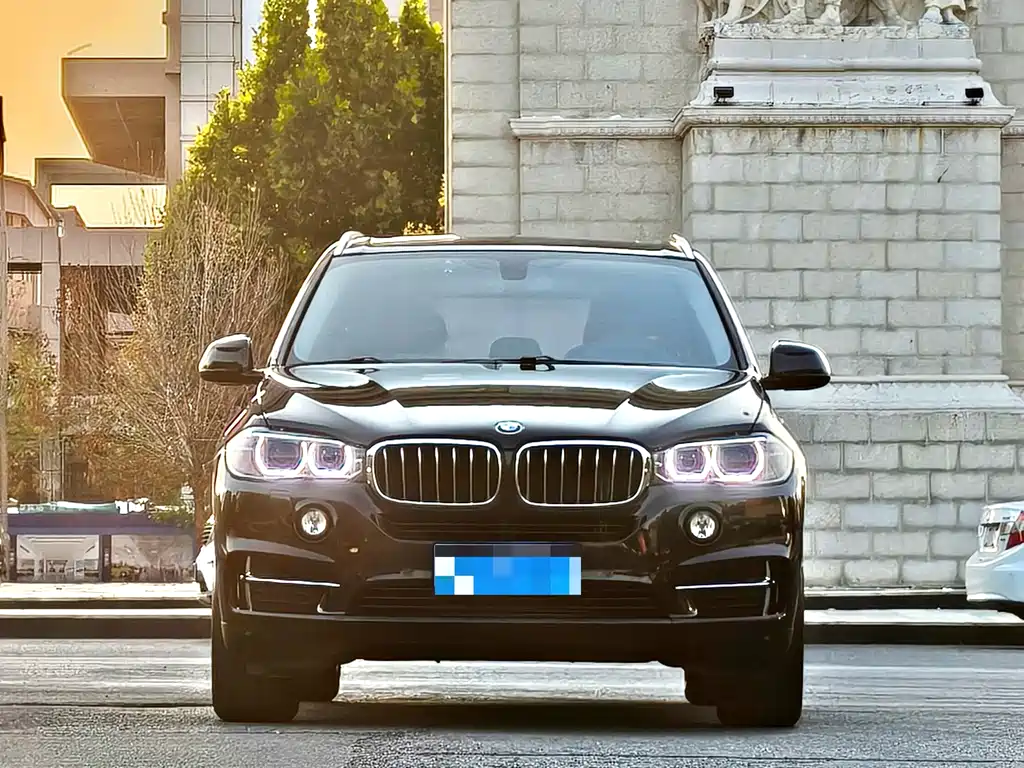 BMW X5 (Import) — миниатюра 2