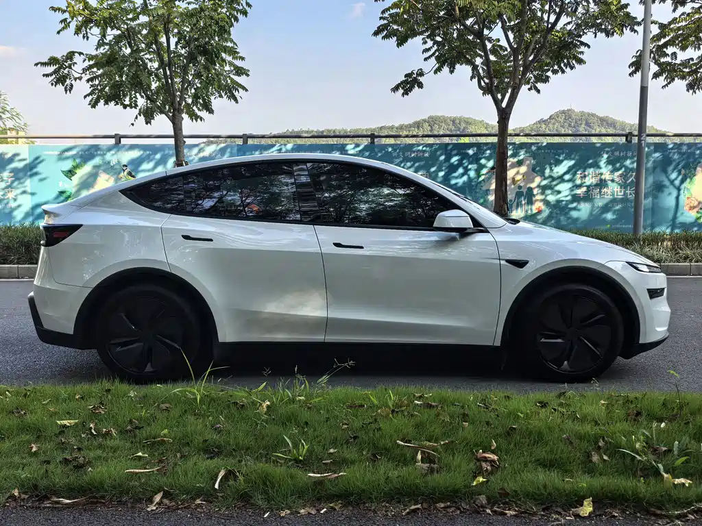 Tesla Model Y — фотографии объявления, Фото 4