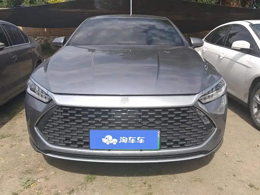 BYD Qin Plus PLUS 2024 DM-i 55KM Lead