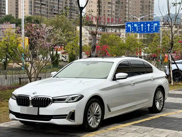 BMW 5 SERIES