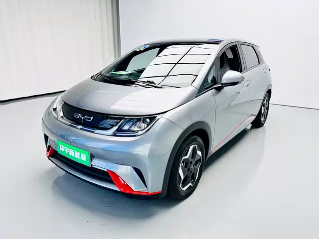 2023 BYD Dolphin