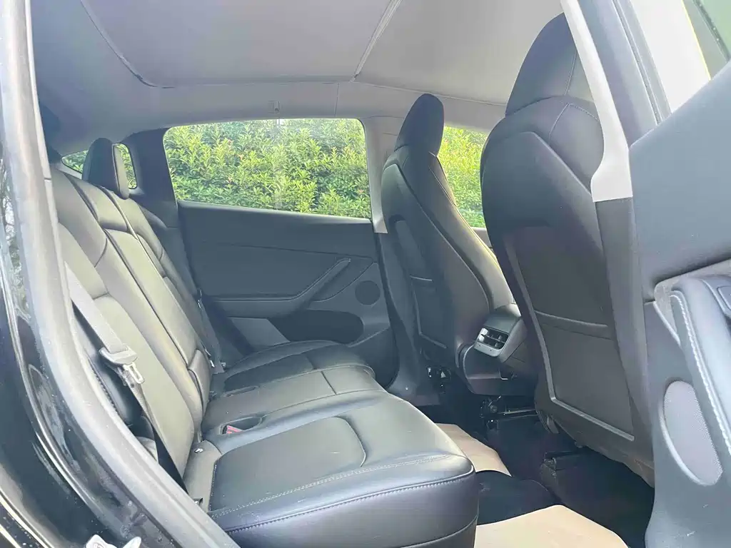 Tesla Model Y — миниатюра 12