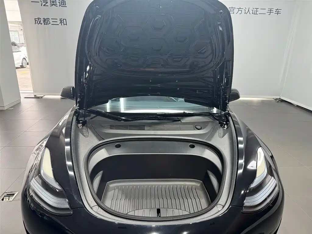 Tesla Model 3 — миниатюра 8
