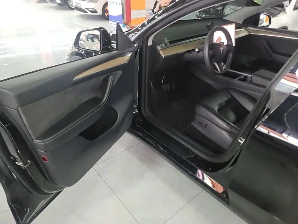 Tesla Model Y — миниатюра 16