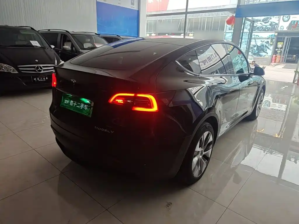Tesla Model Y — миниатюра 7