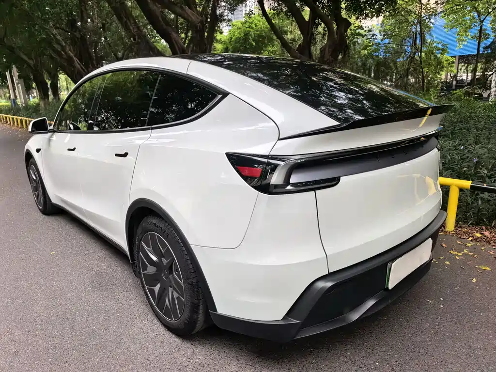 Tesla Model Y L — миниатюра 4