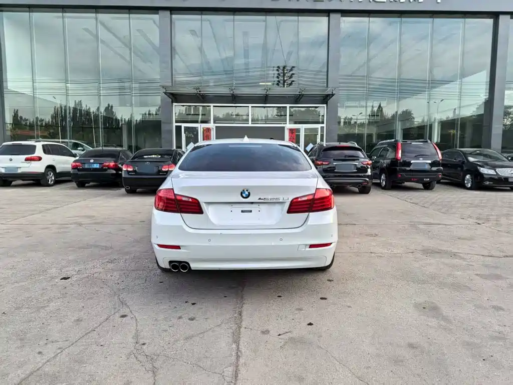 BMW 5 Series 5 2017 520Li Elegant