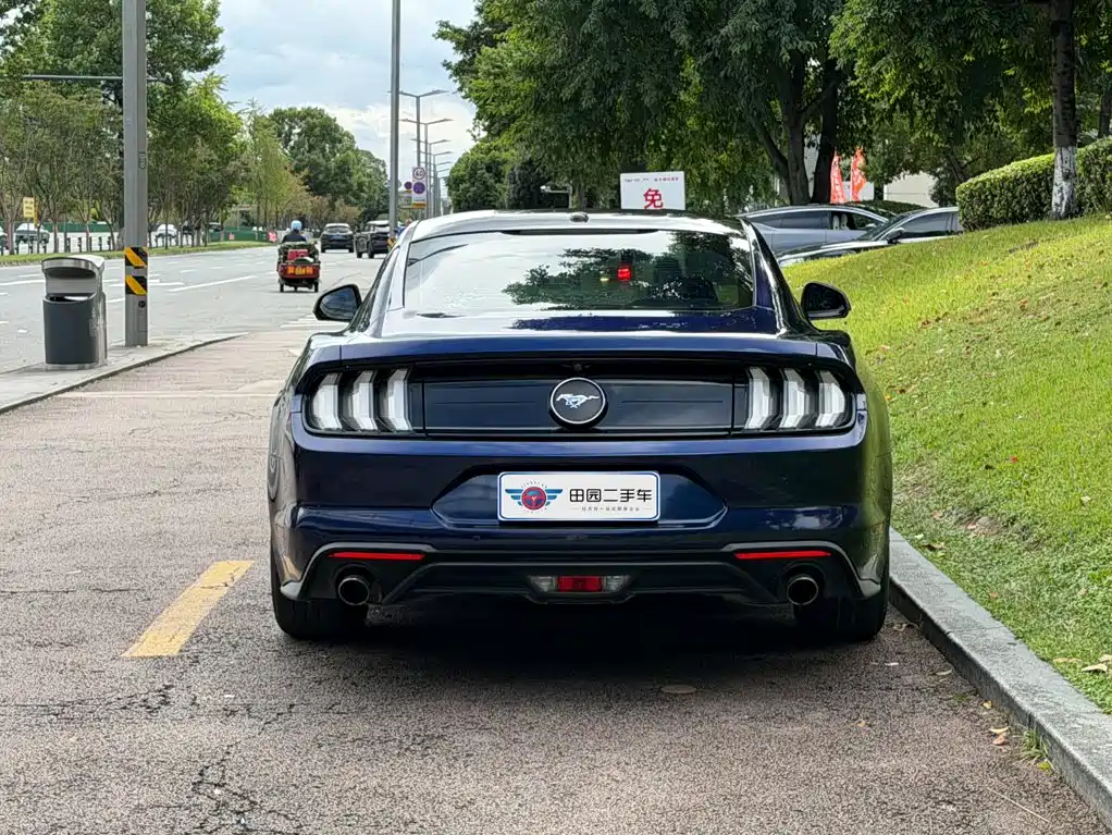 Ford Mustang — миниатюра 5