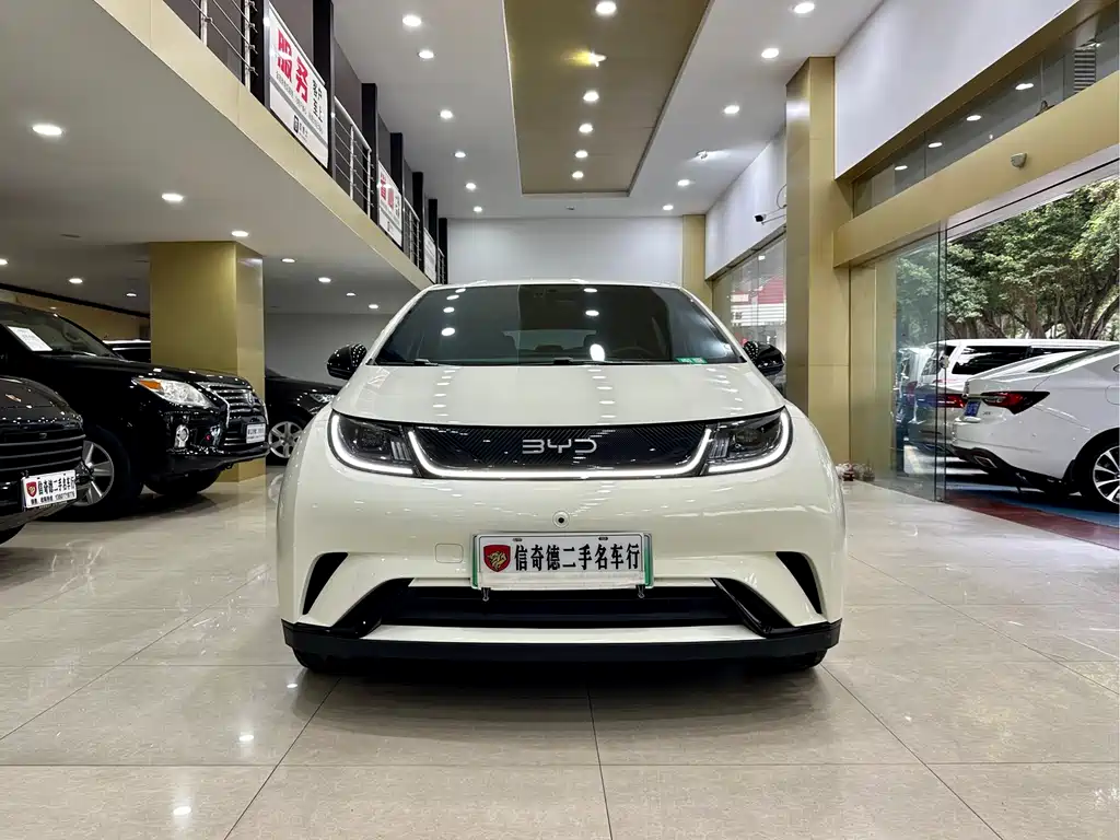 BYD DOLPHIN