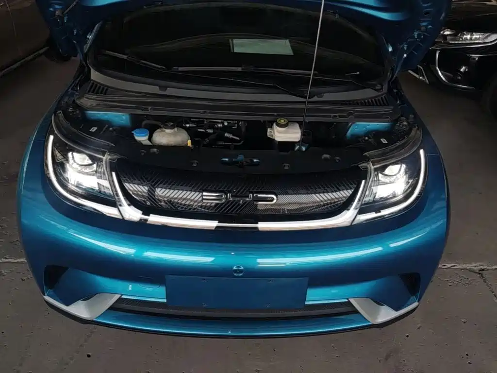 BYD Dolphin — миниатюра 16