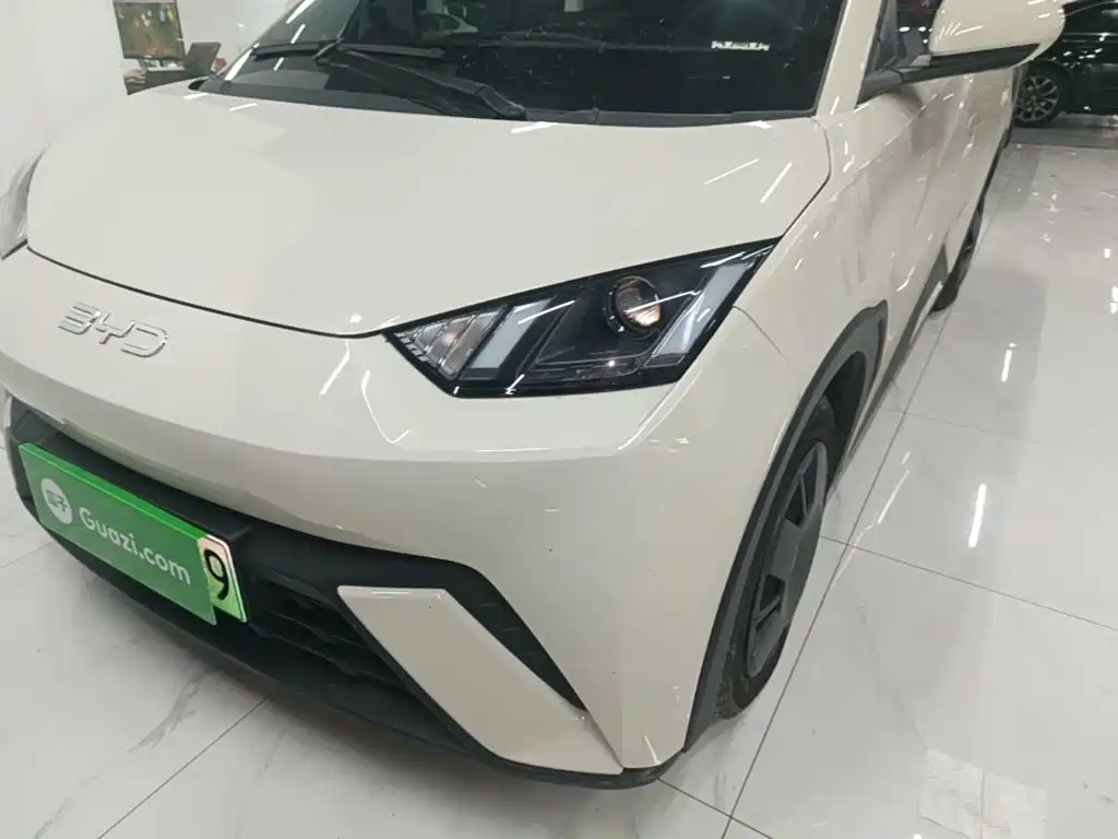 BYD Seagull — миниатюра 24