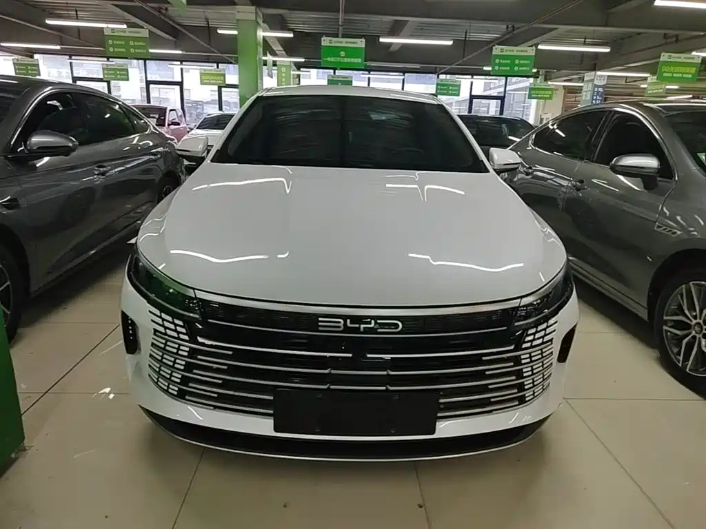 BYD Destroyer 05 — миниатюра 3