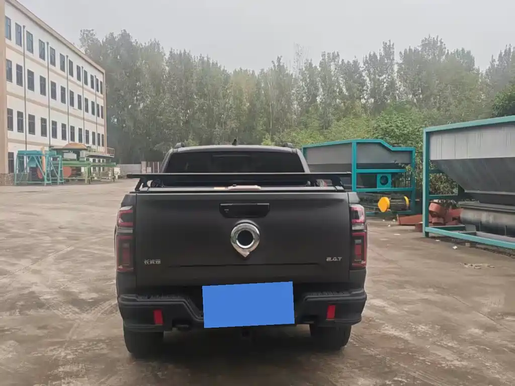 Great Wall Pao — миниатюра 5