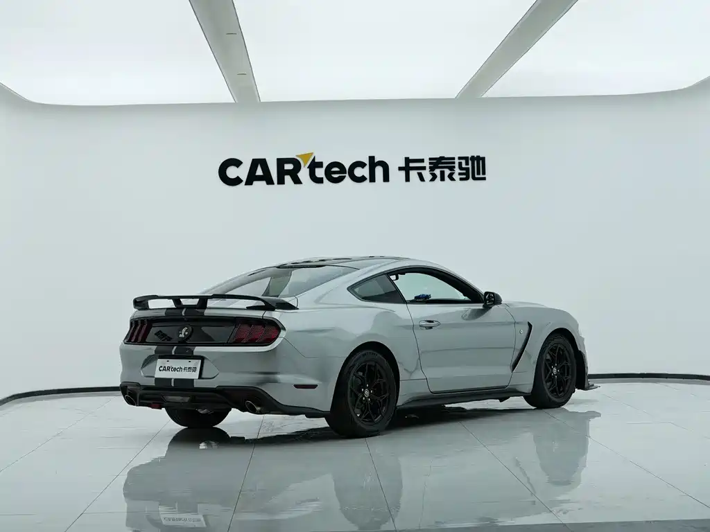 Ford Mustang — миниатюра 11