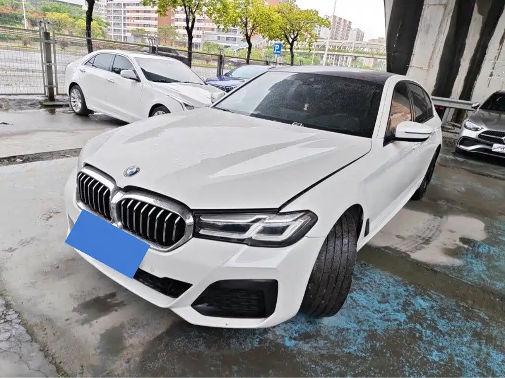 BMW 5 Series 2021 530Li Premium Type M Sport Package