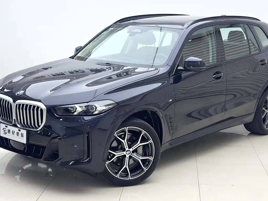 BMW X5 — миниатюра 2