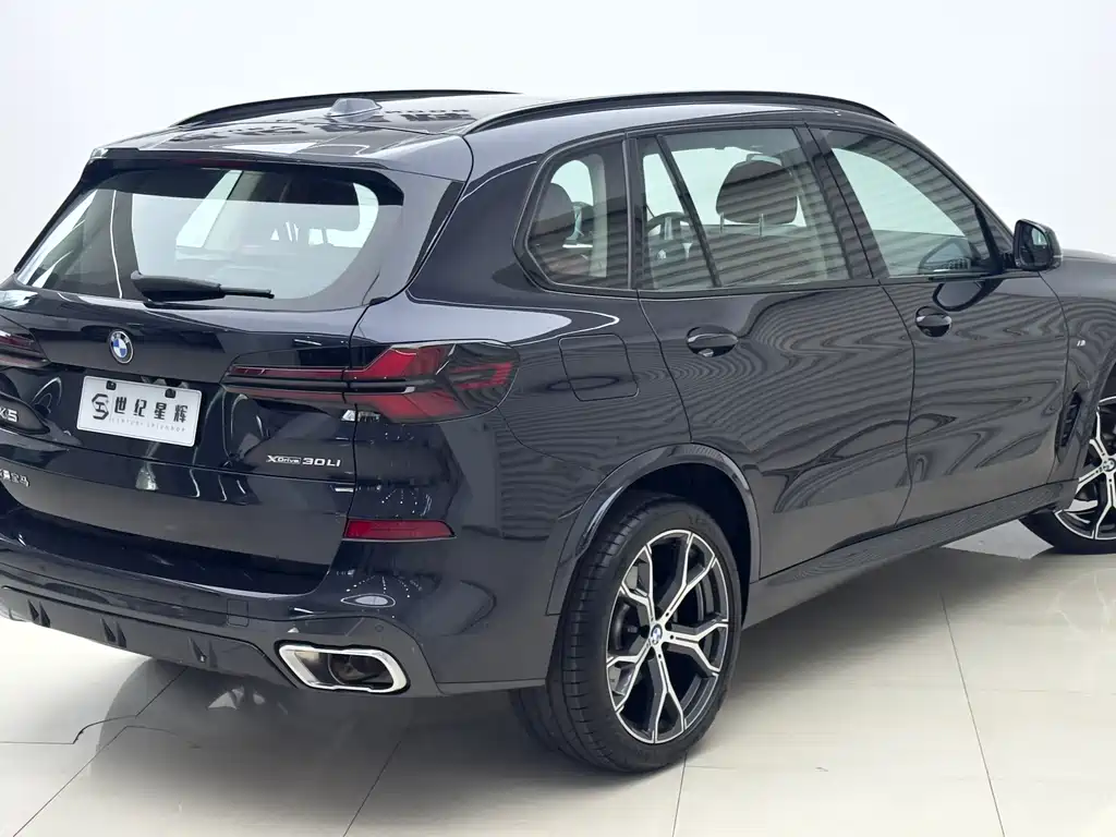 BMW X5 — миниатюра 9