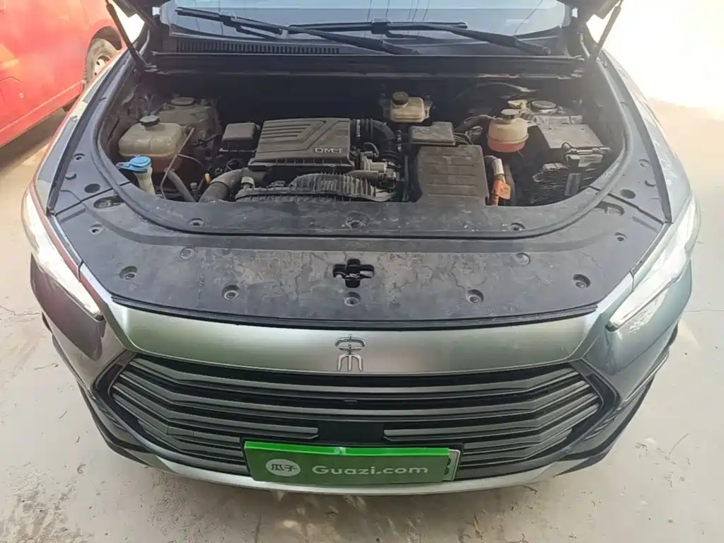 BYD Pro New Energy — миниатюра 20