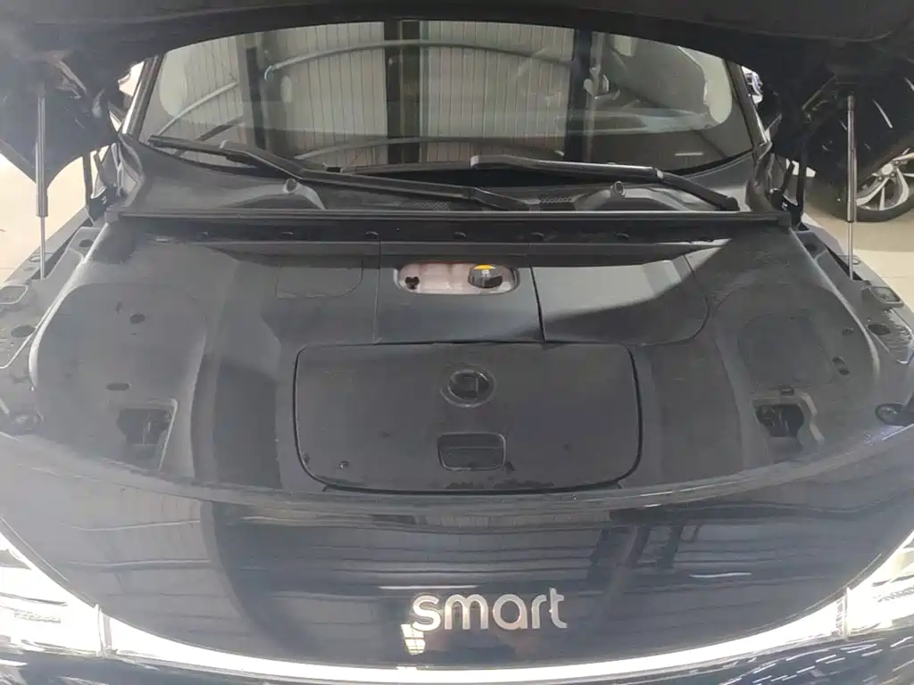 Smart #1 — фотографии объявления, Фото 20