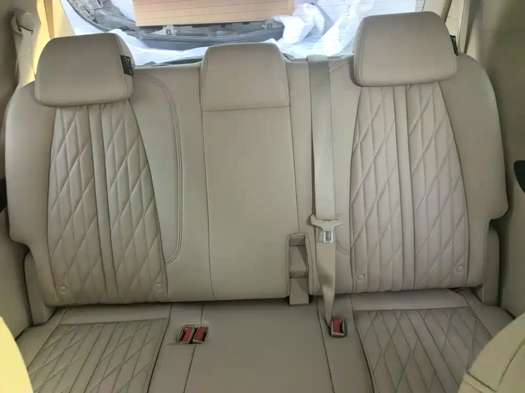 Buick GL8 — миниатюра 13