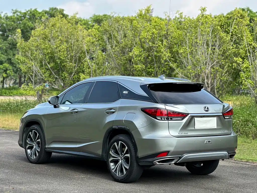 Lexus RX — миниатюра 18