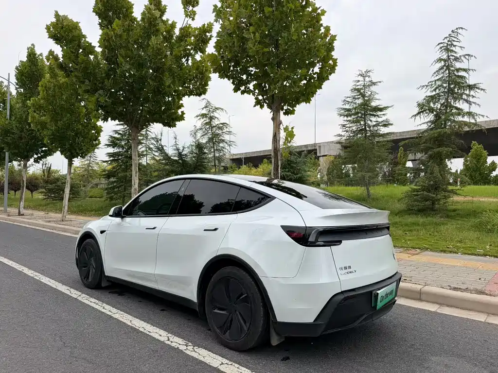 Tesla Model Y — миниатюра 9