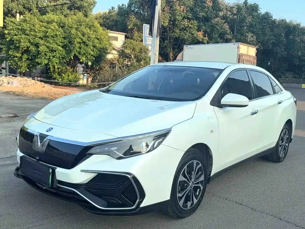 Venucia D60 EV — миниатюра 3