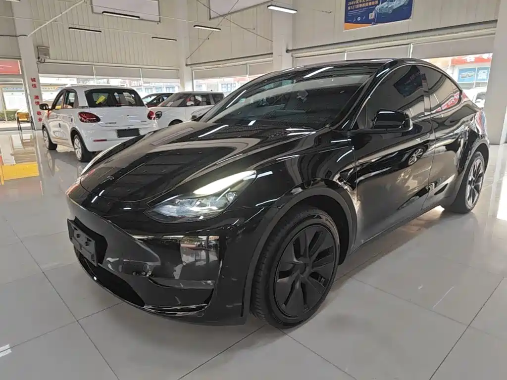 Tesla Model Y — миниатюра 2