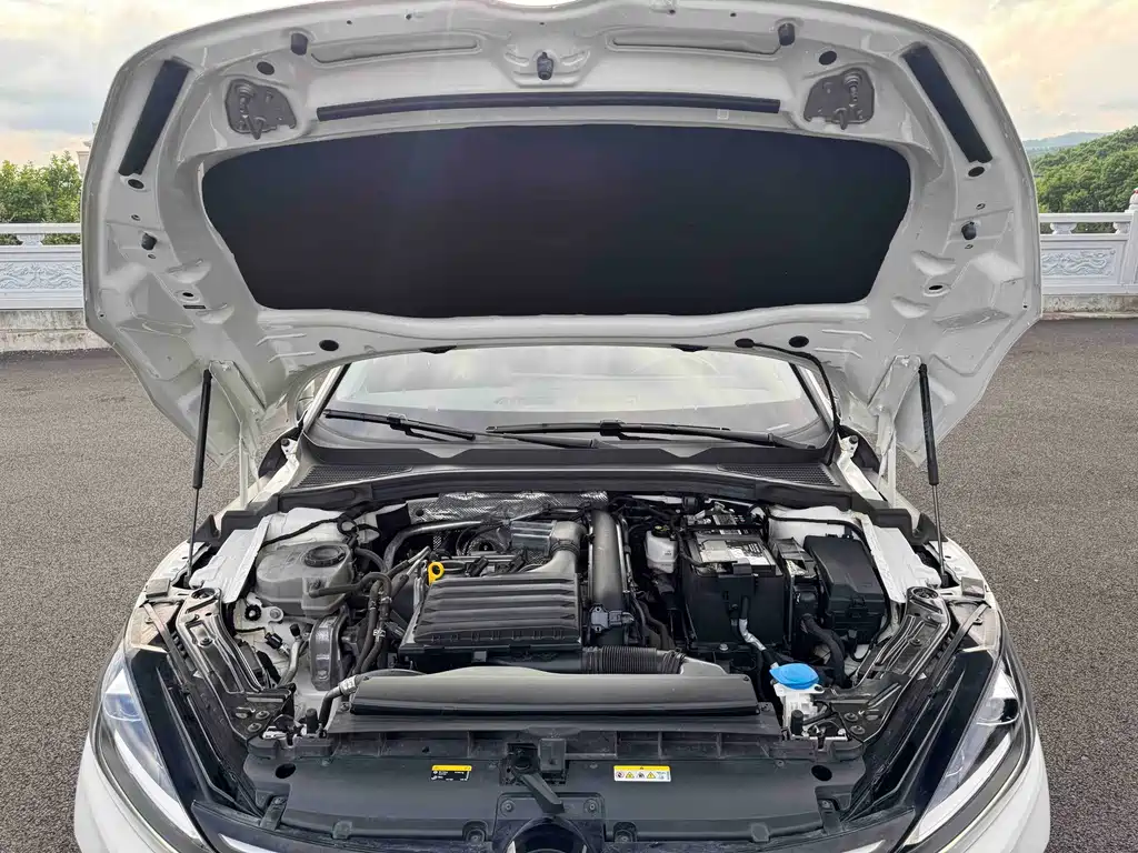 Volkswagen Lamando — миниатюра 19