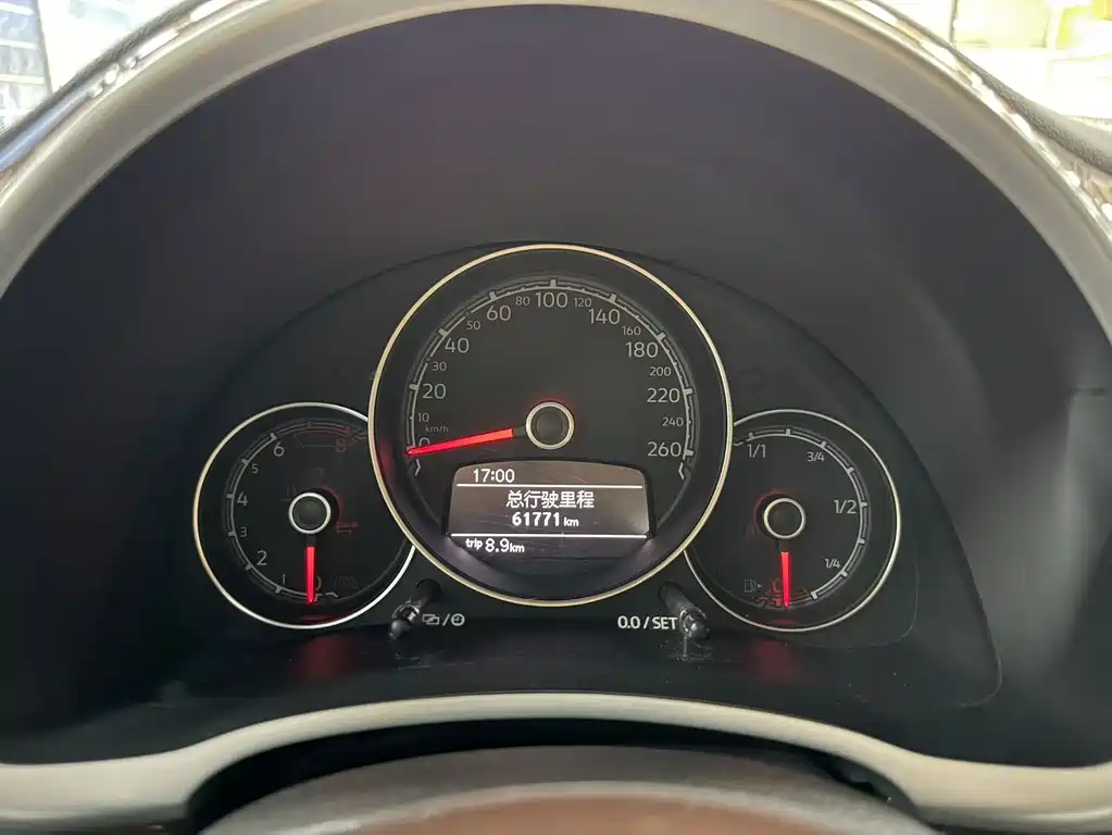 Volkswagen Beetle — миниатюра 11