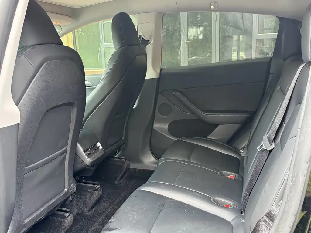 Tesla Model Y — миниатюра 6