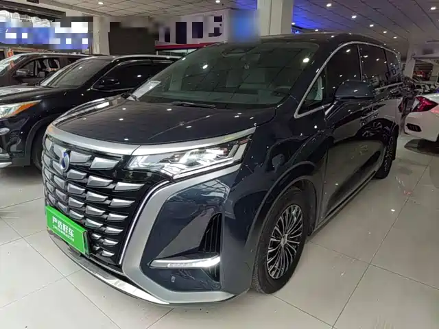 2023 Denza D9