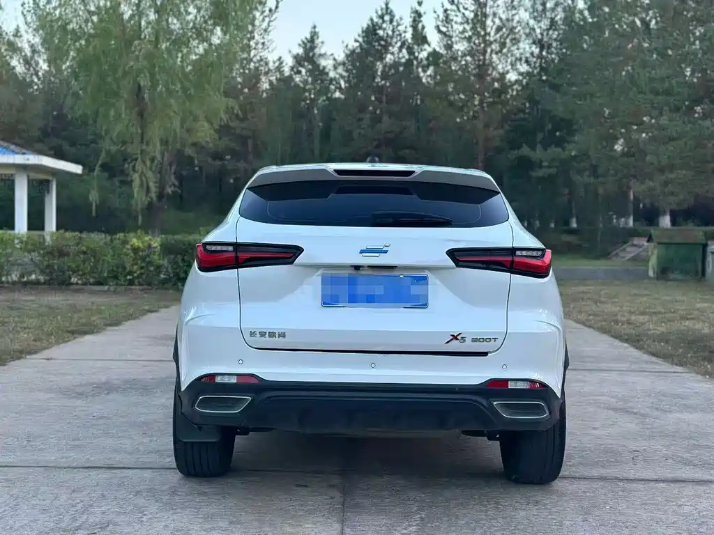 Oshan Oushang X5 — миниатюра 5