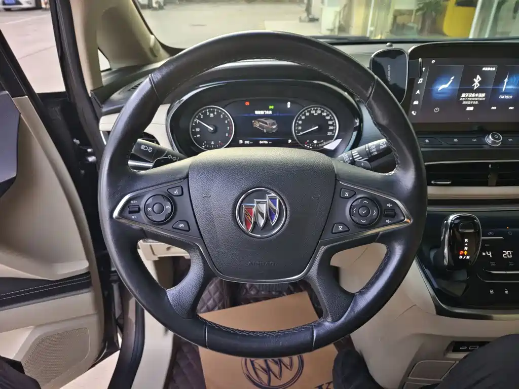 Buick GL8 — миниатюра 9