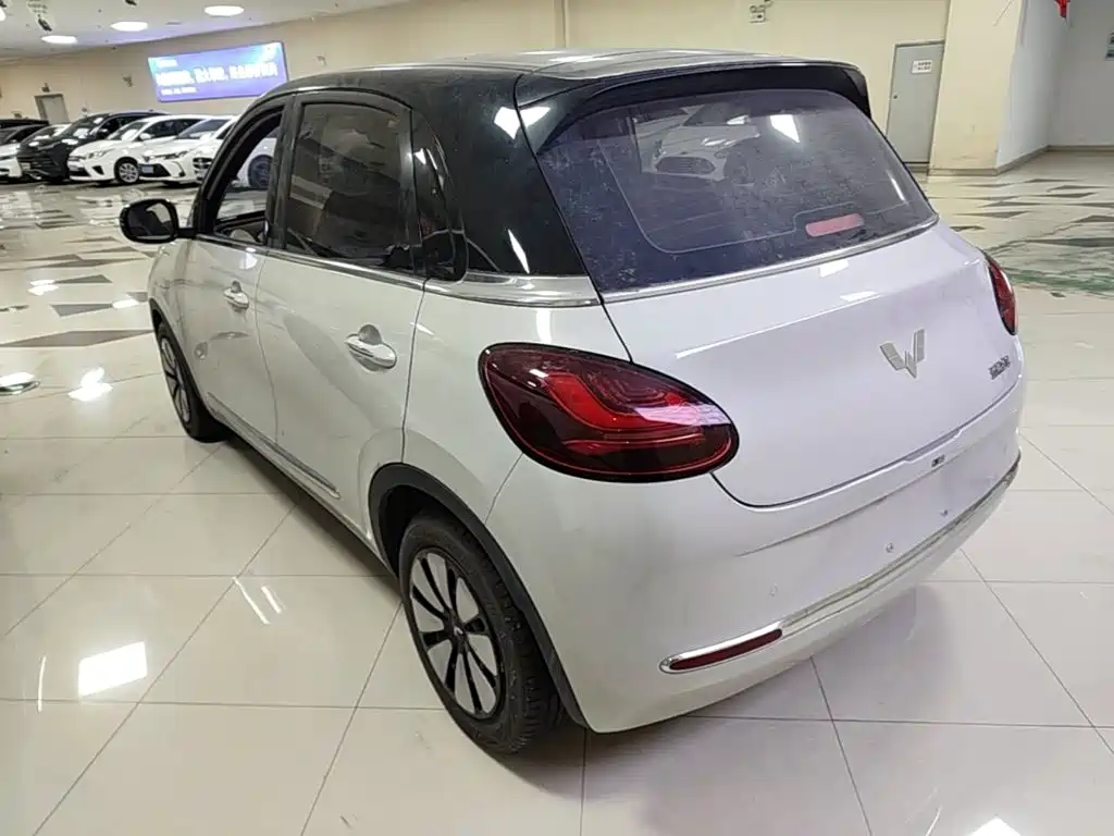 Wuling Binguo 2023 333km +