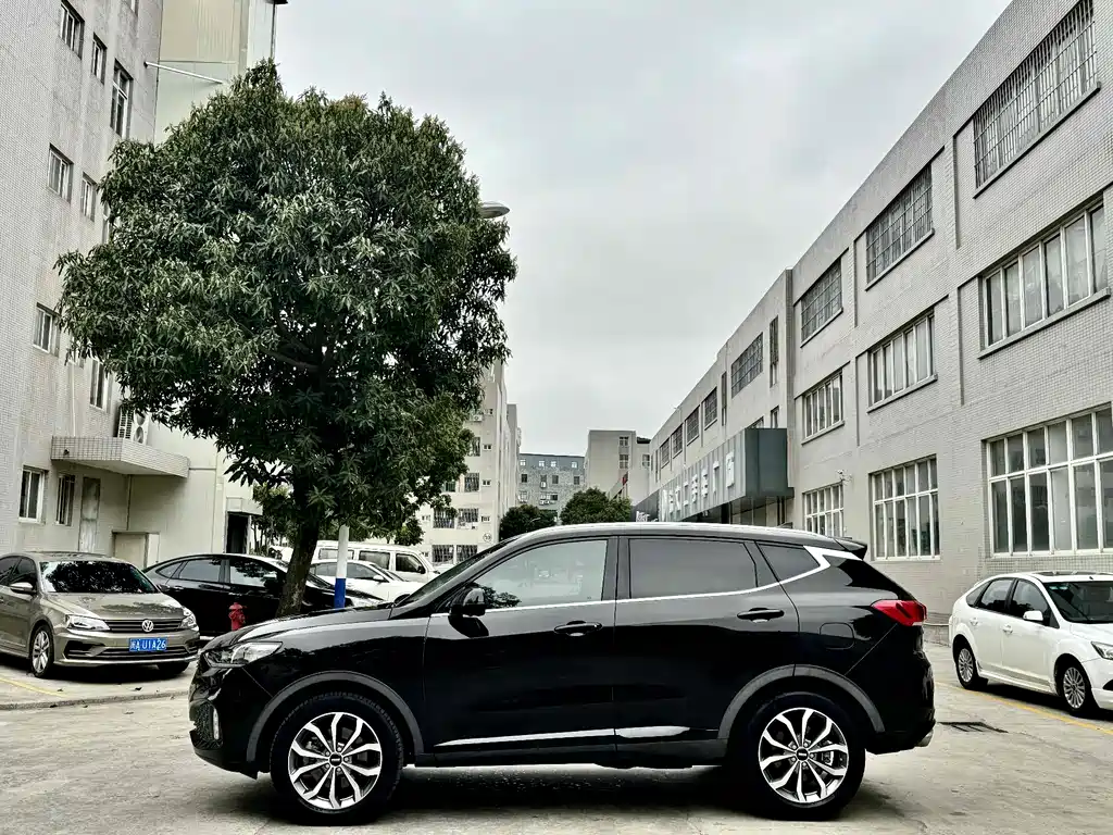 WEI PAI WEI BRAND VV6