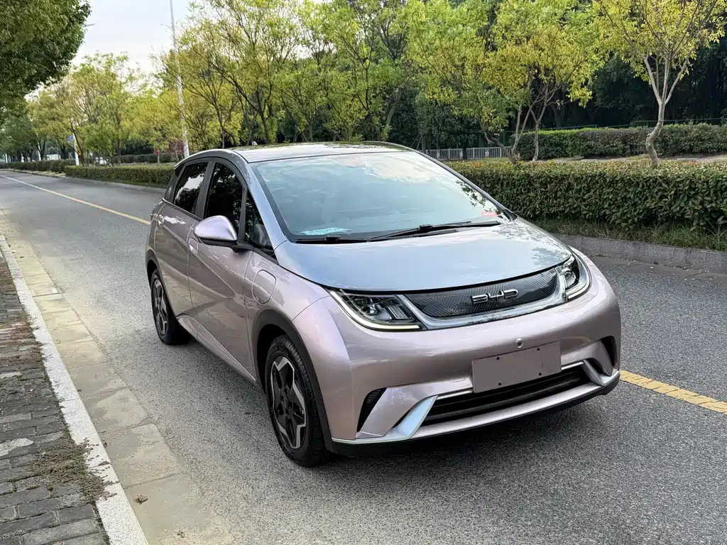 BYD Dolphin — миниатюра 3