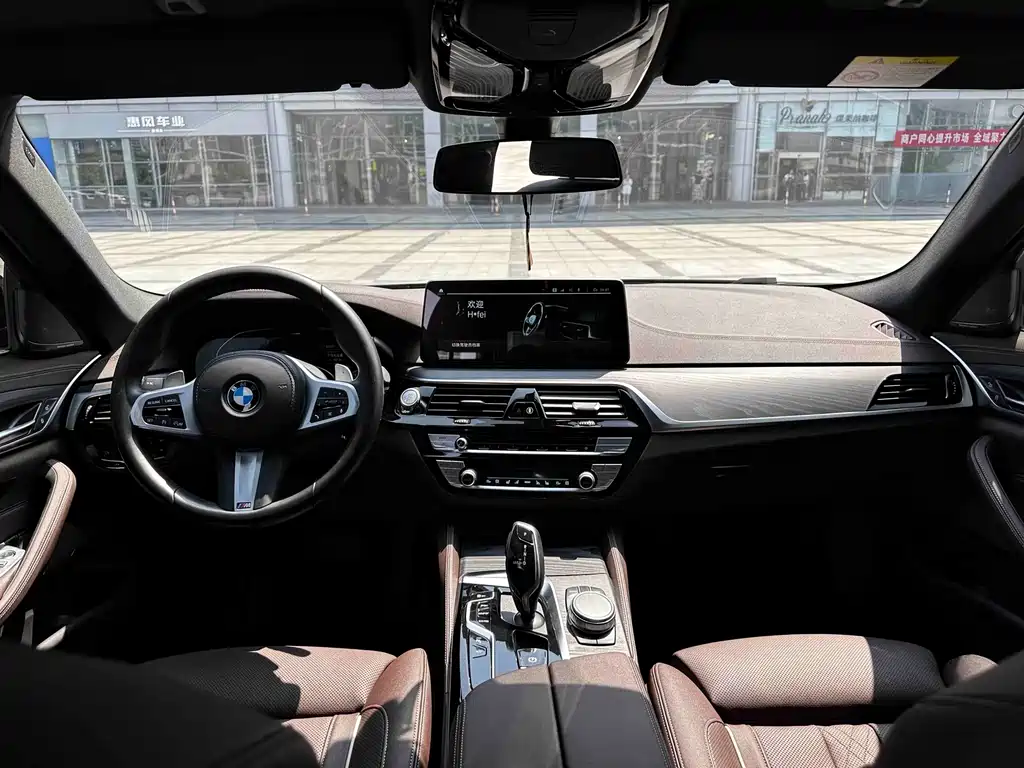 BMW 5 Series 5 2021 530Li Premium Luxury