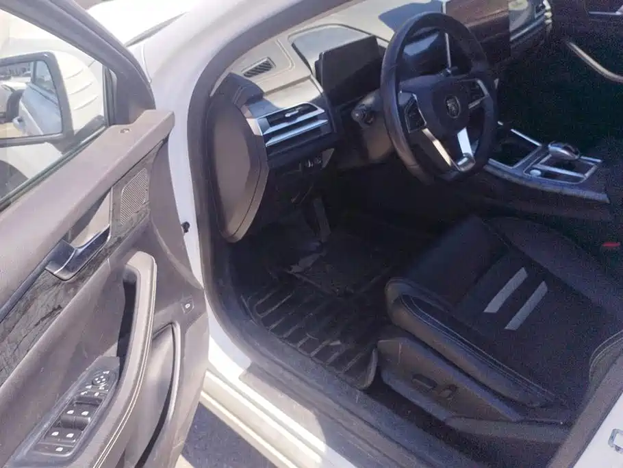 BYD Qin Pro NEV — миниатюра 7