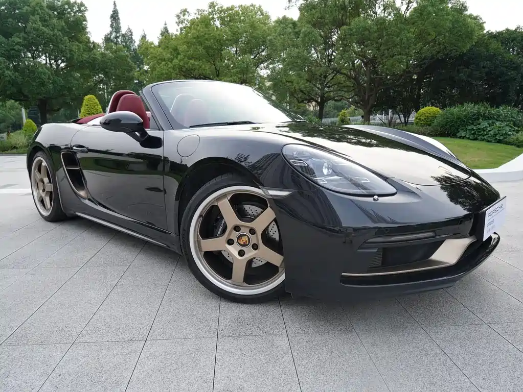 Porsche 718 — миниатюра 13
