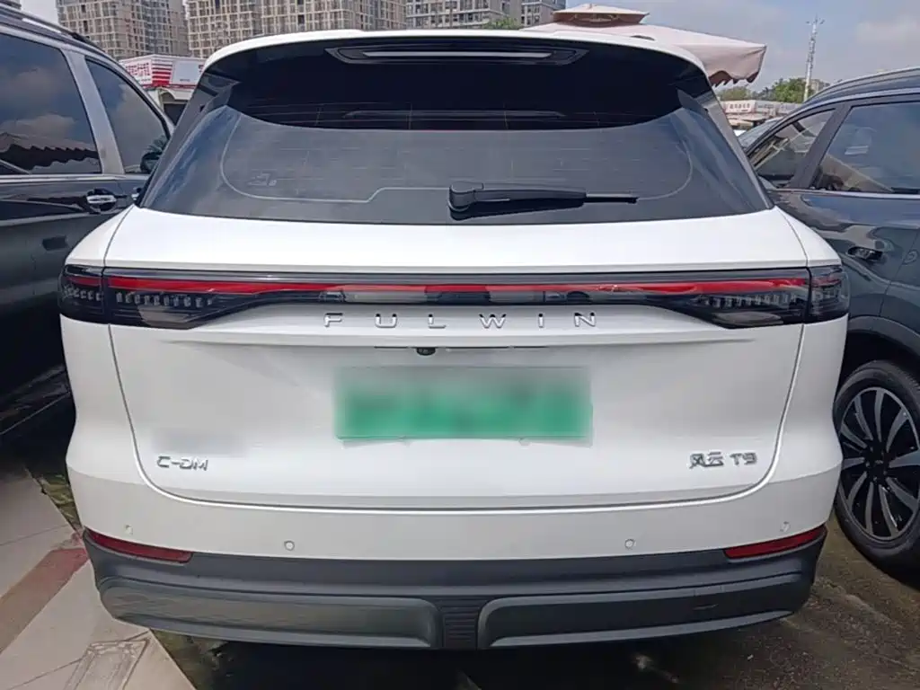 Fulwin Fengyun T9 — миниатюра 6