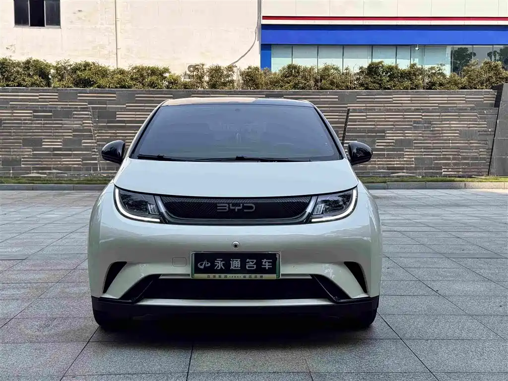 BYD Dolphin — миниатюра 2