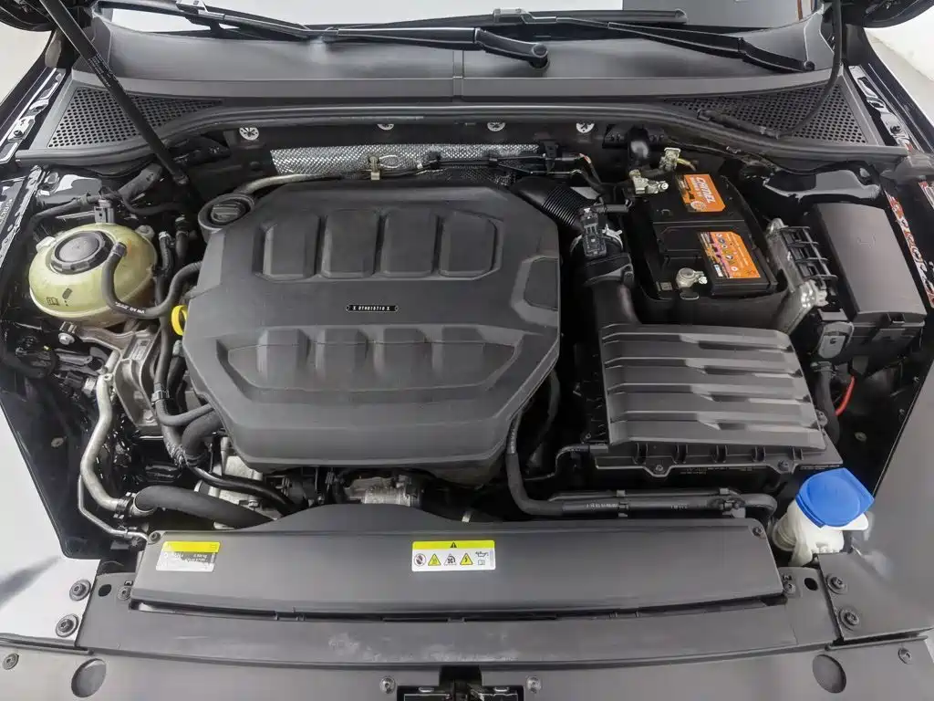 Volkswagen Magotan 2023 200 330TSI DSG Luxury